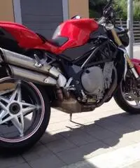 Mv agusta brutale