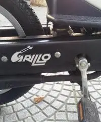 PIAGGIO GRILLO PIAGGIO GRILLO