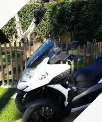 Quadro Quadro 350D - 2013 Quadro Quadro 350D - 2013