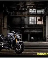 SUZUKI GSX S 1000 .