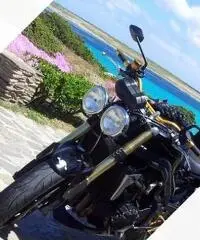 Triumph Speed Triple - 2006 Triumph Speed Triple - 2006