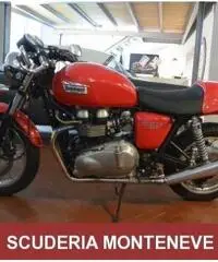 TRIUMPH Thruxton 900 PRATICAMENTE NUOVA-1400 KM-PERFETTA TRIUMPH Thruxton 900 PRATICAMENTE NUOVA-1400 KM-PERFETTA