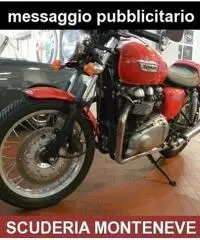 TRIUMPH Thruxton 900 PRATICAMENTE NUOVA-1400 KM-PERFETTA TRIUMPH Thruxton 900 PRATICAMENTE NUOVA-1400 KM-PERFETTA