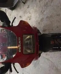 vendesi moto ducati