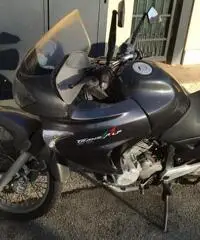 VENDO HONDA TRANSALP 650 XLV DEL 2002
