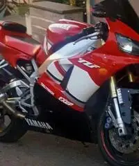 Yamaha R1 2001 perfetta Yamaha R1 2001 perfetta