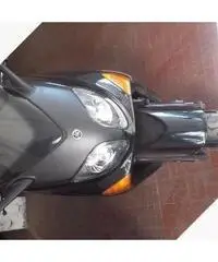 Yamaha T Max - 2004 iniez Yamaha T Max - 2004 iniez