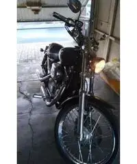 HARLEY-DAVIDSON Sportster 883 Custom cc 883