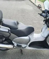 Aprilia Scarabeo 500 Aprilia Scarabeo 500