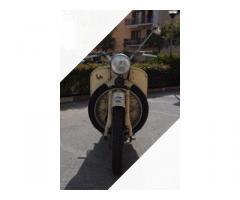 Moto Guzzi Galletto 192 - Anno 1959