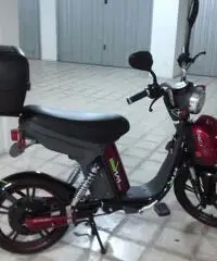 bici elettrica bici elettrica