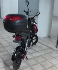 bici elettrica bici elettrica