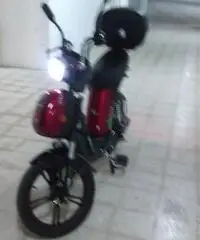 bici elettrica bici elettrica