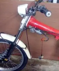 TRANS AMA TRIAL 50/320