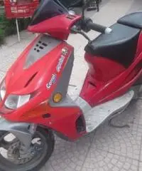 DERBI Predator tipo veicolo 50cc cc 50 DERBI Predator tipo veicolo 50cc cc 50