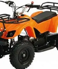 MiniQuad 50 Woods MiniMoto Quad ATV