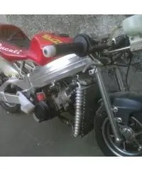 Minimoto raffreddata a liquido, motore 50cc