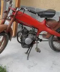 Motom 48 Motom 48