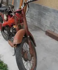 Motom 48 Motom 48