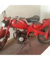 Motom Altro modello - Anni 70 Motom Altro modello - Anni 70