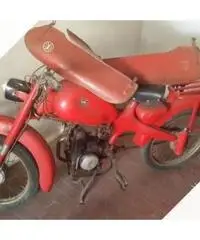 Motom Altro modello - Anni 70 Motom Altro modello - Anni 70
