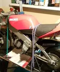 POLINI DUCATI REPLICA DESMOSEDICI