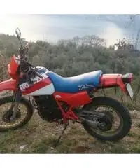 HONDA XL 600 del 1984 + molti pezzi di ricambio HONDA XL 600 del 1984 + molti pezzi di ricambio