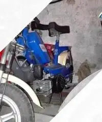 Piaggio Altro modello - 1980 Piaggio Altro modello - 1980