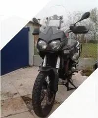Moto Guzzi Stelvio 1200 - 2014 Moto Guzzi Stelvio 1200 - 2014