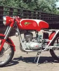 Italemmezeta Italemmezeta