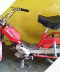 Motorino Benelli 48 Motorino Benelli 48