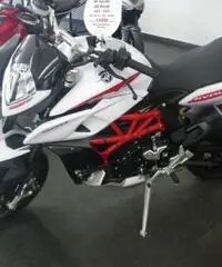 MV AGUSTA Rivale 800 EAS - ABS