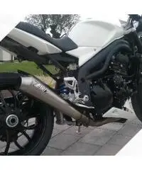 Triumph Speed Triple - 2008 Triumph Speed Triple - 2008