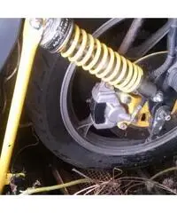 suzuki katana 550, 1981, no targhe suzuki katana 550, 1981, no targhe