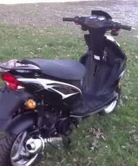 NUOVI SCOOTER 50 cc 4T GTM FALCON NUOVI SCOOTER 50 cc 4T GTM FALCON