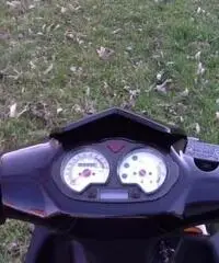 NUOVI SCOOTER 50 cc 4T GTM FALCON NUOVI SCOOTER 50 cc 4T GTM FALCON