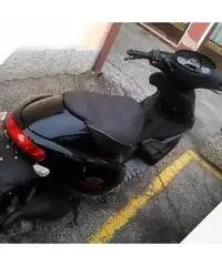 Benelli 491 - 2016 Benelli 491 - 2016