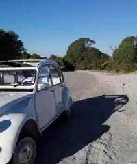 2cv restaurata a nuovo 2cv restaurata a nuovo