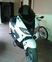 Gilera Nexus 500