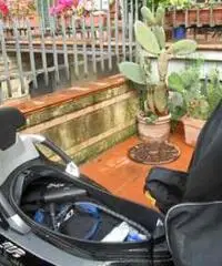 Piaggio Mp3 business 300 lt 3 ruote Piaggio Mp3 business 300 lt 3 ruote