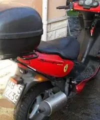 Scooter Peugeot 100 cc Speedfight Scooter Peugeot 100 cc Speedfight