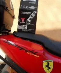 Scooter Peugeot 100 cc Speedfight Scooter Peugeot 100 cc Speedfight