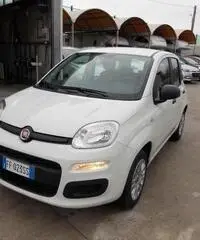 Fiat Panda 1.2 Easy  X NEOPATENTATI