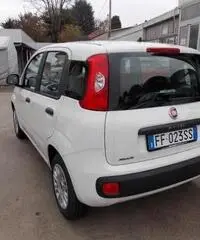 Fiat Panda 1.2 Easy  X NEOPATENTATI