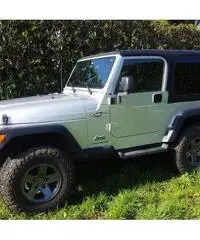 Jeep wrangler 2003 4.0