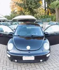 Volkswagen New Beetle 1.9 TDI 101CV