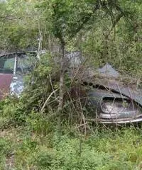 Citroen DS 20 FD Pallas '72 Citroen DS 20 FD Pallas '72