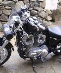883 low 2007 ie 883 low 2007 ie