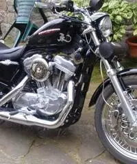 883 low 2007 ie 883 low 2007 ie