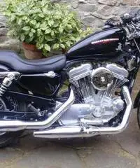 883 low 2007 ie 883 low 2007 ie